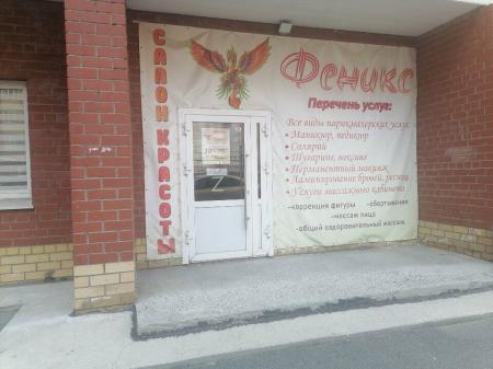 Фотография Феникс 2