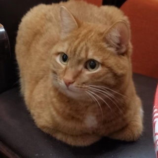 Катя Щ.