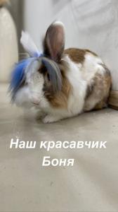 Фотография Полет 2
