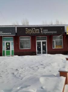 Фотография Березка 4