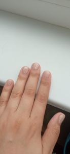 Фотография Unicorn 0