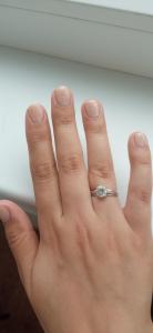 Фотография Unicorn 1