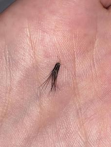 Фотография Vip lashes 1