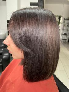 Фотография Elephant 1