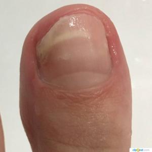 Фотография Kira 2