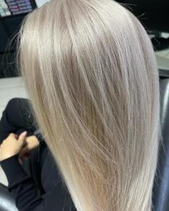 Фотография Elephant 5