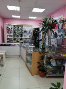 Фотография Флора 3