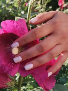 Фотография Zhitnikova nails 5