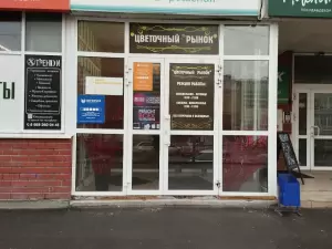 Фотография Тренди 1