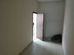 Фотография Pink 2