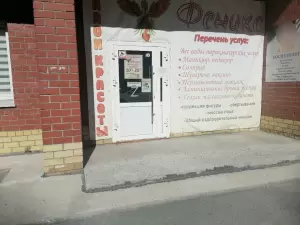 Фотография Феникс 2
