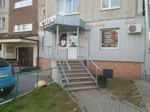 Фотография Астера 2