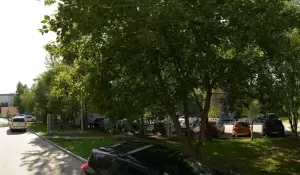 Фотография SilkHair 1