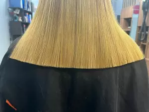 Фотография Чио Чио 5