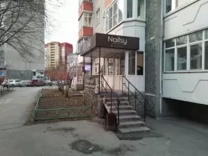 Фотография Бонсай 0