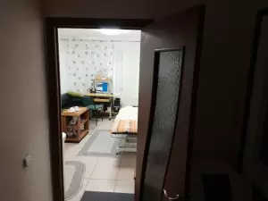 Фотография Бонсай 2