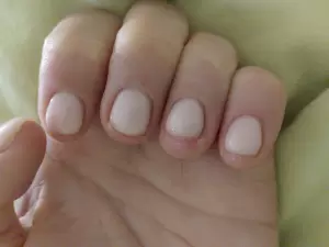 Фотография Чио Чио 2