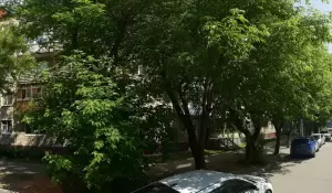 Фотография Чио Чио 1