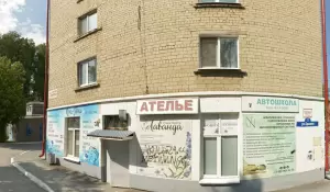 Фотография Лаванда 0