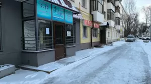 Фотография Лира 3