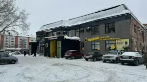 Фотография Девочки хотят 5